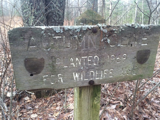 USFS Autumn Olive sign 1969_REDUCED