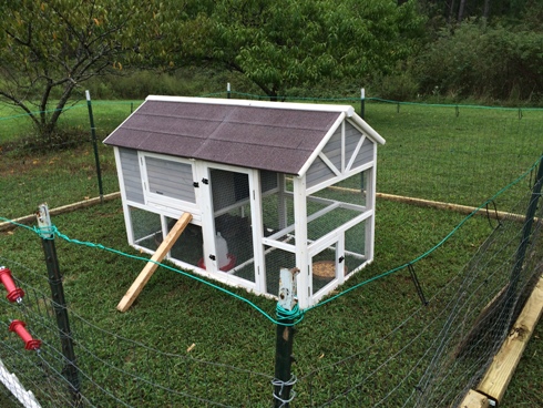 Puckett's modified chicken coop