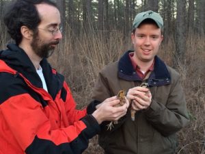 Quail research continues to be important ... we either keep learning or fall behind 