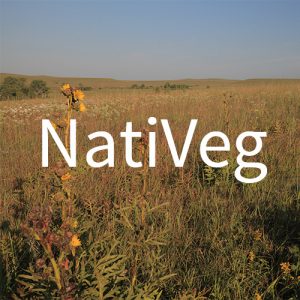 nativeg-icon