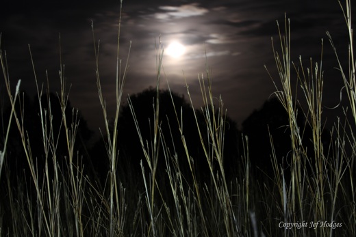 light-painted-bluestem-super-moon_redcued