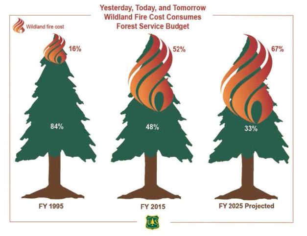 the-cost-of-wildland-fire_reduced