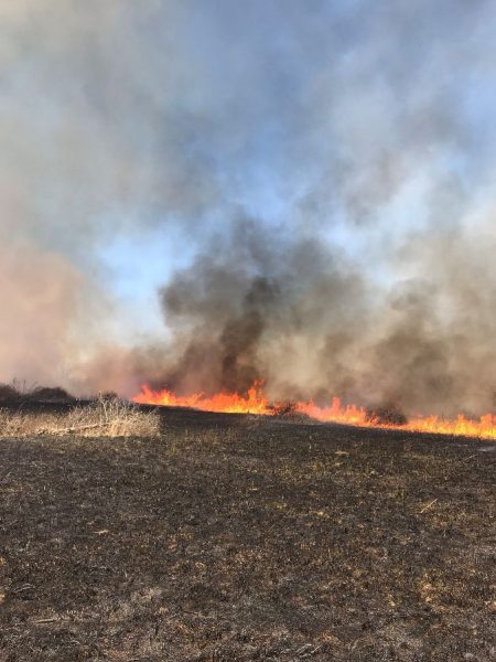 Prescribed burn on Pea Ridge National Military Park. Photo provided by AGFC.