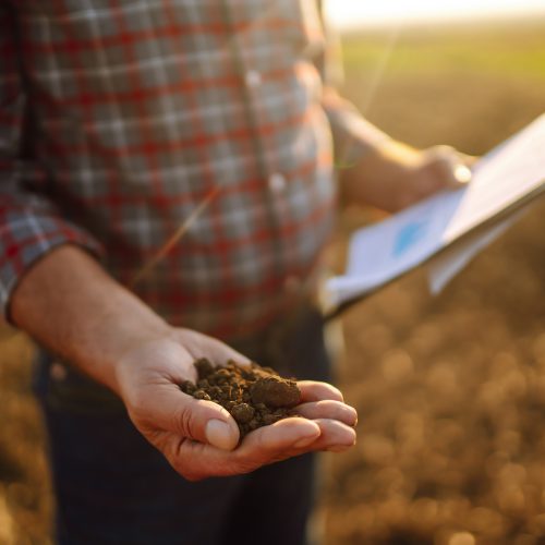 Expert hand of farmer checking soil health before growth a seed of vegetable or plant seedling.