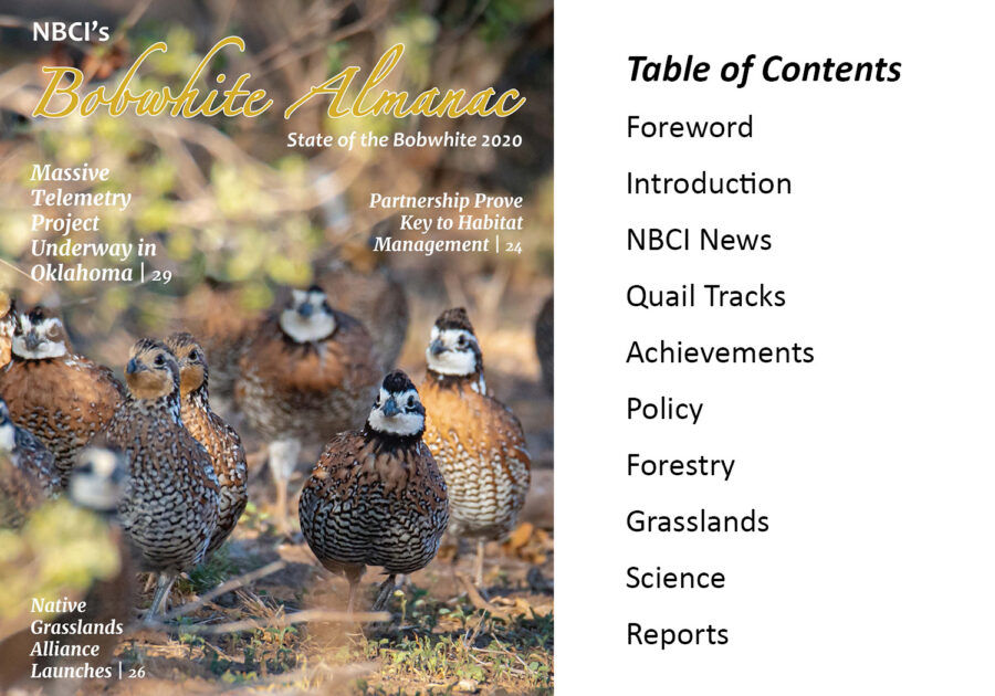 NBCI's Bobwhite Almanac, State of the Bobwhite 2020