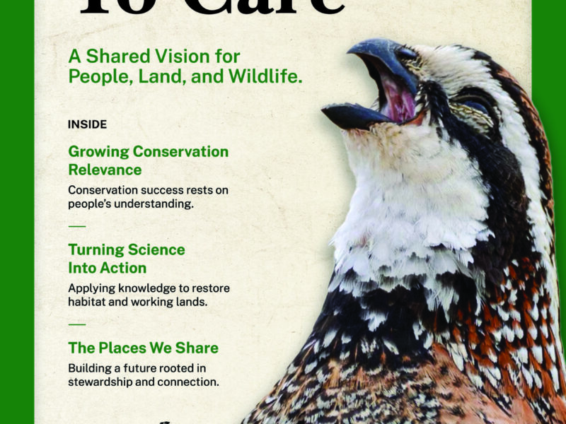 NBGI Strategic Plan