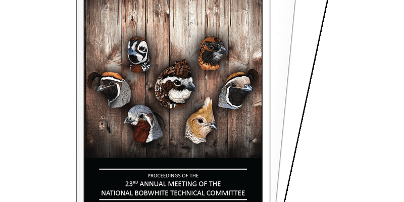 23rd NBTC Proceedings